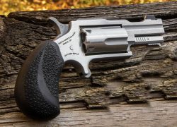 NORTH AMERICAN ARMS 22MAG 2" BUGOUT II SS XS SGHT#